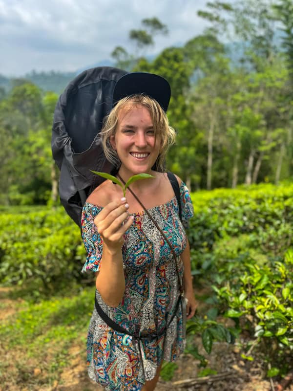 girl holding a tea leaf in ella sri lanka