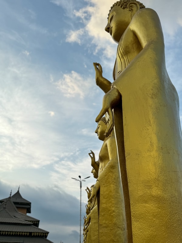 Side view of large golden buddha statues with one prominently in the foreground against a cloudy sky, standing serenely with right hand raised.