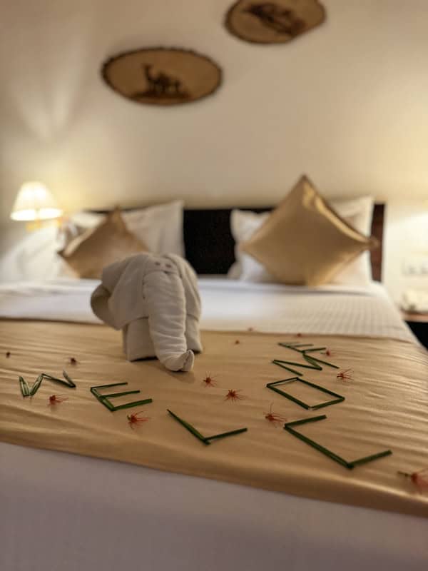 a towel wrapped as an elephant on a hotel bed