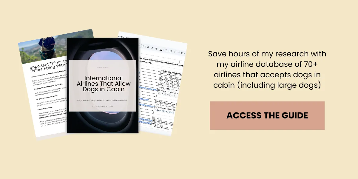Three documents about flying with dogs are displayed; one shows the title “International Airlines That Allow Dogs in Cabin.” A text box advertises a guide and database for airlines allowing cabin dogs.