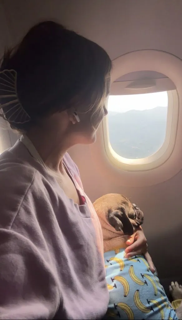 A person wearing a hair clip and earbuds looks out an airplane window while holding a small brown dog wrapped in a blanket on their lap.
